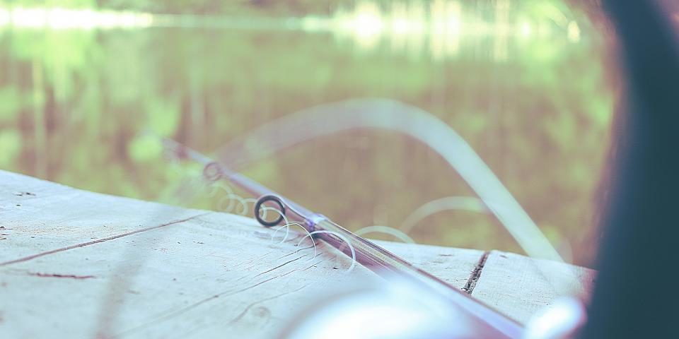 The Accountants’ Guide to Fishing